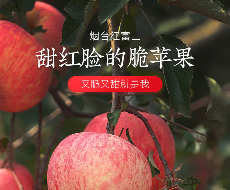 无线蓝牙耳机