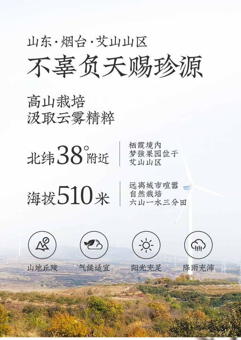产品详情图