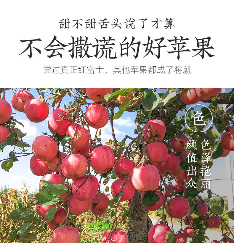 产品详情图