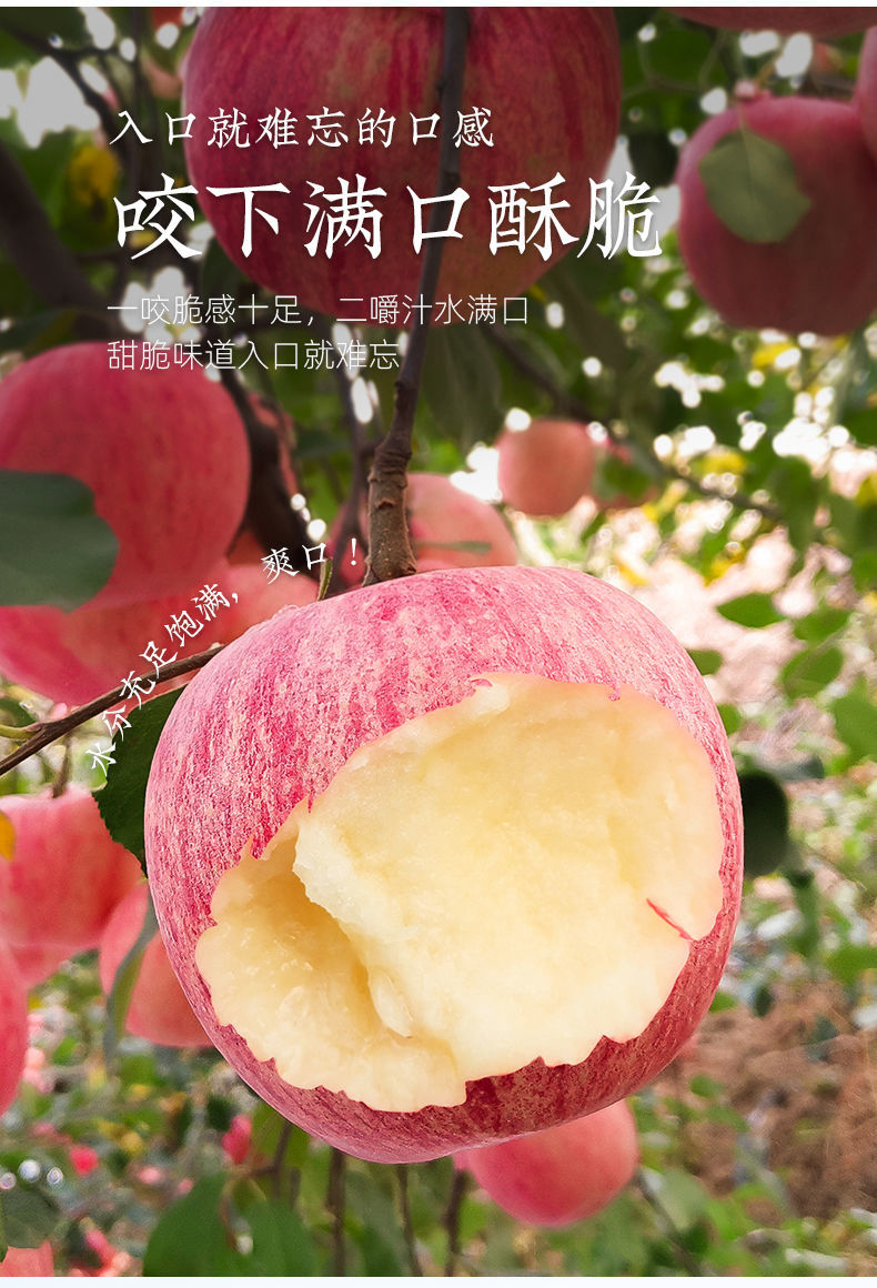 新商品二