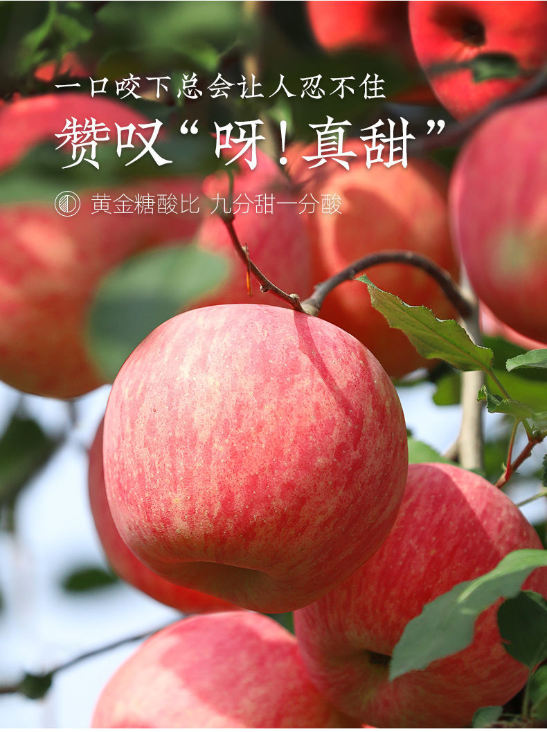 产品轮播图 2